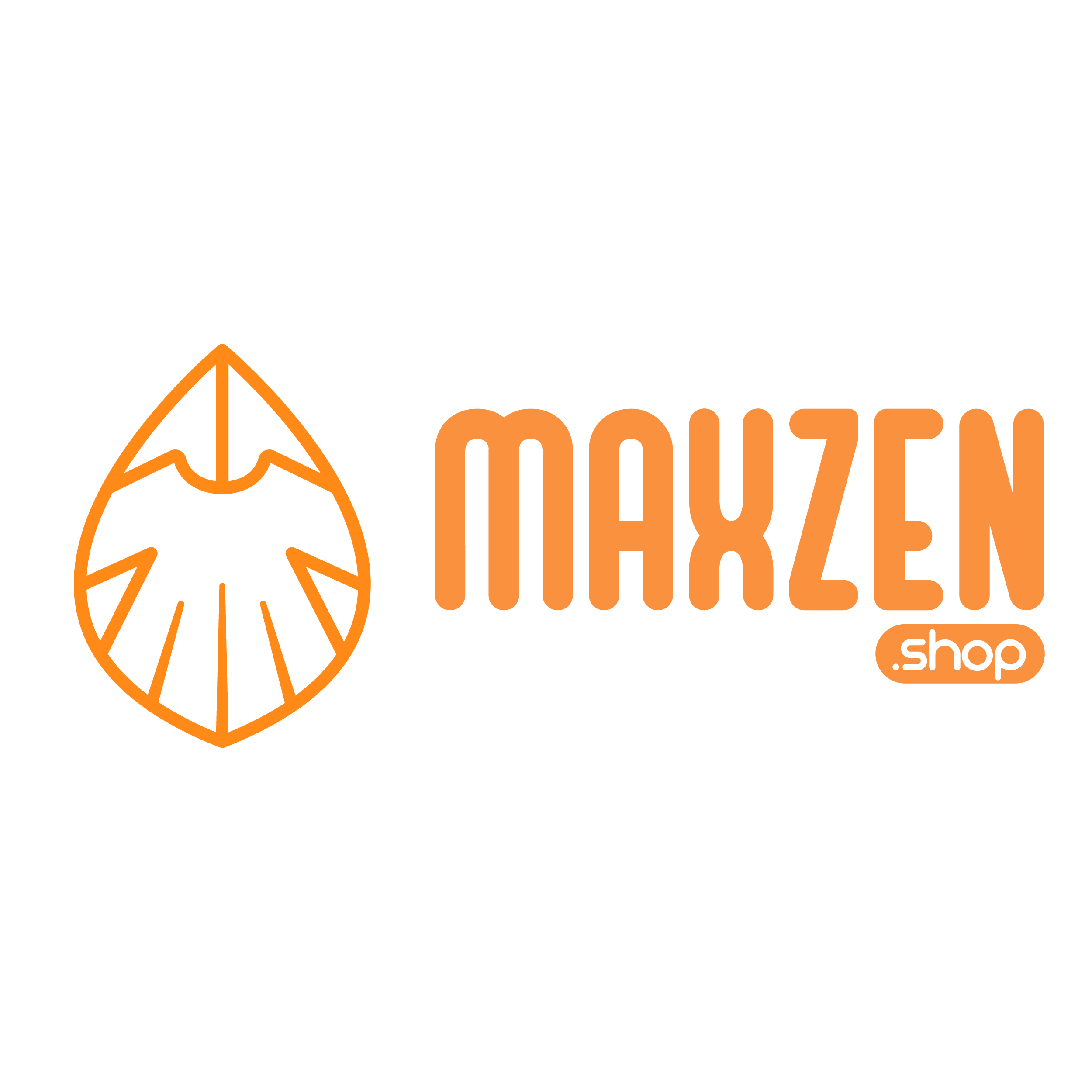 Maxzen.pe